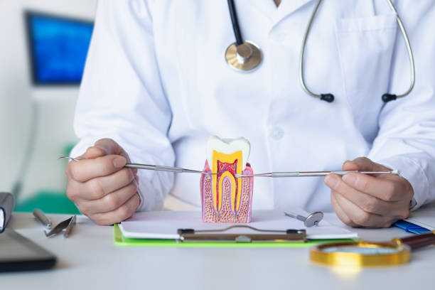 Best After-Hours Dental Trauma Care in Park Ridge, NJ